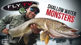 FLY TV - Shallow Water Monsters - Fly Fishing for Big Pike