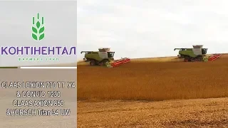 Контінентал Фармерз Груп / Збір сої в с. Красіїв / 4x Claas Lexion 770  TT