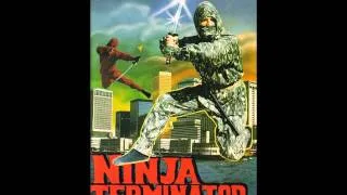 Ninja Terminator Theme