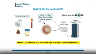 MALDI Biotyper® sirius and resistance detection