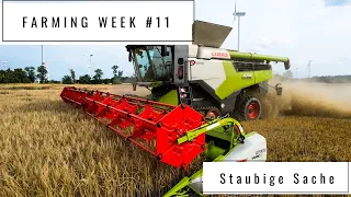 Farming Week #11 | Staubige Sache