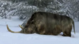 The End of the Woolly Rhino - Ice Age Giants - Episode 3 Preview - BBC Two