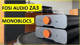 Fosi Audio ZA3 as MONOBLOCS - are they better than Willsenton R8?