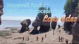 Hopewell Rocks low tides. Bay of Fundy. Home of the highest tides #extreme #amazing#tidal#roadtrip