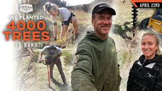 How we Planted 4,000 Trees and Shrubs - What we Planted and Why | Dream Farm w/ Bill Winke