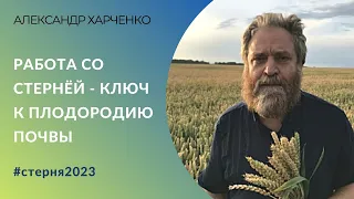 Александр Харченко: «Работа со стернёй – ключ к плодородию почвы»