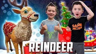 Animated Reindeer Lowes Christmas | Unbox Setup Christmas Animatronic | Lowes Holiday Living