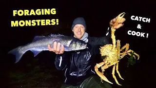 COASTAL FORAGING - Huge Spidercrab , Huge Bass ! Catch Clean Cook SPIDERCRAB , Insane Creatures