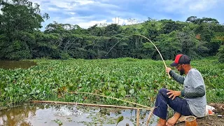 Pescaria debaixo da gigoga é onde estão todos os peixes se alimentando dela