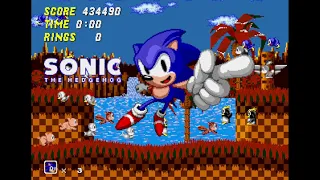 [TAS] Sonic the Hedgehog Painful World Spikes Kaizo 2021 in 18:28 by Tuffcracker