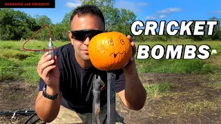 Cricket-Bombs