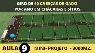 GIRO DE 40 ANIMAIS POR ANO  EM 3000 M2. PASTEJO ROTACIONADO E CONFINAMENTO  COM O CAPIM BRS CAPIAÇU