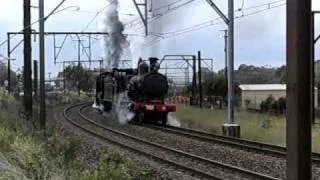 NSW Steamers