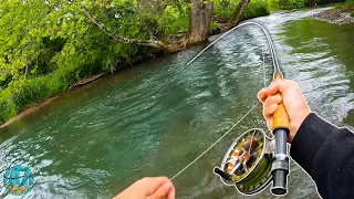 STREAMER FLY FISHING FOR GIANT BROWNS! || Best Day of Trout Fishing