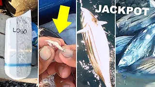 How to Catch Skipjack Tuna with Small Shrimp/ Krill/ Alamang | Philippines Traditional Fish Magnet