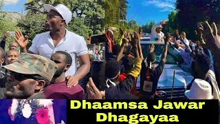 Oduu Ammee Dhaamsa Jawar Mohammed Amma Qeerroof Dhaame Naannawa Mana isaatti