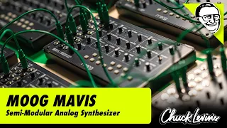 Moog Mavis - Budget-Friendly Semi-Modular Analog Synth | First Look, Quick Demo