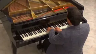 Theme from LOVE STORY (Francis Lai) - Tarek Refaat, Piano.