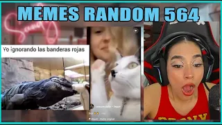 SOUNDY REACCIÓN MEMES RANDOM 564