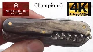 1973 Victorinox Champion C with Buffalo Horn Scales *4K Ultra HD*
