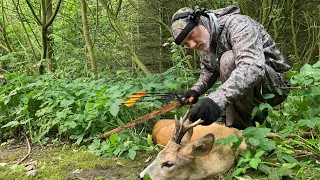 Roebuck hunting with a longbow - Tales From the Willows