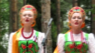 Ягода рябины танцевально хоровой коллектив Даровлянка