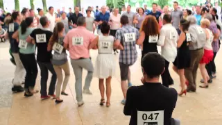 Concours de danse bretonne : Finale Gavotte Poher 2015 à Menez Meur avec Martin/Le Meur (ton simple)