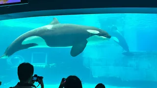 Nagoya Port Aquarium!!!!!