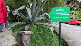 Дача Сталина / Stalin's dacha