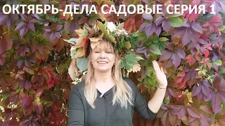 Октябрь - дела садовые серия № 1.