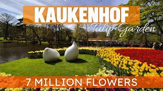 The World's Biggest Flower Garden | Kaukenhof 2024 Walking Tour | The Netherlands 🇳🇱 | 4K