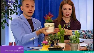 Савельева 4 канал. Выпуск 13.09.2017