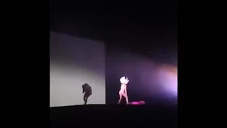 Sia - Titanium (Live at the Dubai World Cup 2017)