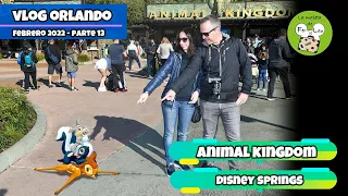 Visitamos la atracción más rara de Animal Kingdom y compras en Disney Springs: vLog Orlando parte 13