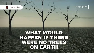 Answered: What would happen if there were no trees on earth