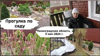 Прогулка по саду. ( 3 мая 2024 г.)