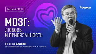 Вячеслав Дубынин. Ревность, гормоны и секс – почему эволюция выбирает моногамию? // Лекторий ЭФКО