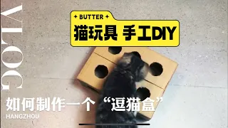 手工DIY：小纸箱做个逗猫盒 Cardboard Cat Digging box