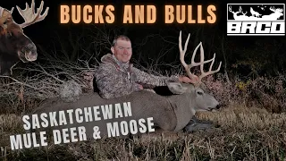 Saskatchewan Moose and Mule Deer hunting ACTION!
