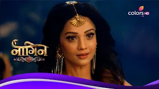 Naagin 6 | नागिन 6 | Ep. 97 | Latest Update | Sesha Confronts Seema