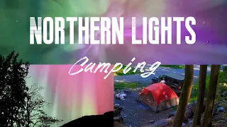 Surprised by Northern Lights while camping at Skwellepil Creek Rec Site | Free Camping in BC