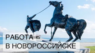 Работа в Новороссийске | обзор и наблюдения лето 2022 года