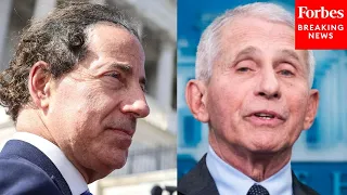 'Their Own Investigation Debunks Their Extreme Political Rhetoric': Raskin Mocks GOP, Praises Fauci