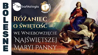 Różaniec o świętość we Wniebowzięcie Najświętszej Maryi Panny