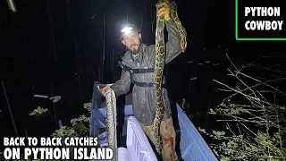 Night Python Hunt On Python Islands