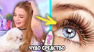 КАК ОТРАСТИТЬ длинные ресницы ЗА НЕДЕЛЮ? ♡ RINA