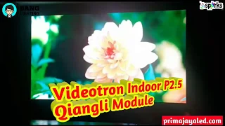 Videotrin Indoor P2.5 Qiangli Module - Prima Jaya LED