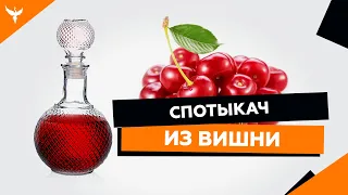 рДЖ 8: Спотыкач из вишни