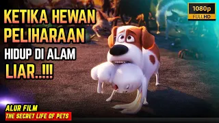 DIREMEHKAN KARENA KECIL TAPI TERNYATA BOS PARA HEWAN | Alur Film THE SECRET LIFE OF PETS (2016)