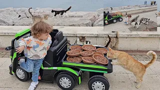 The tiny baby distributes the food he loaded on the trailer of his toy truck to the stray cats.